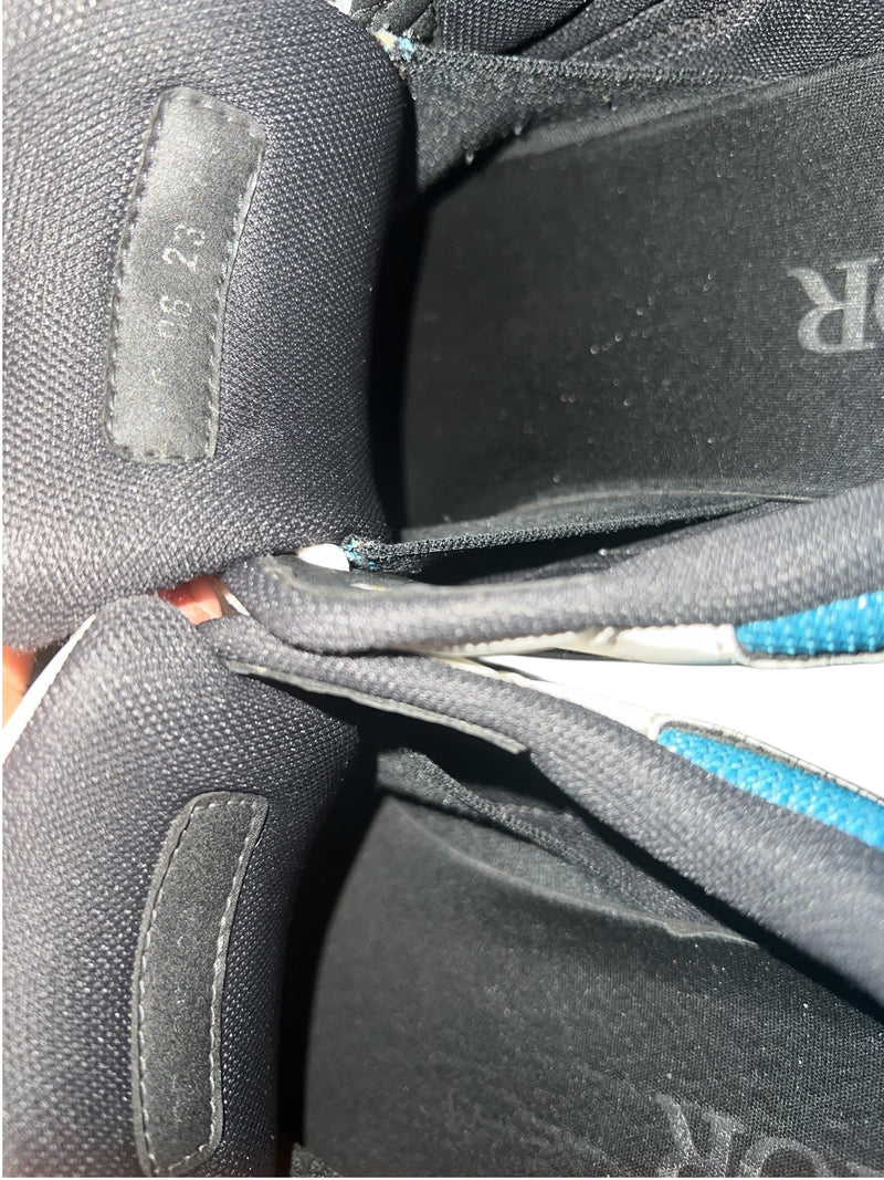 Dior B30 Sneaker White/Blue